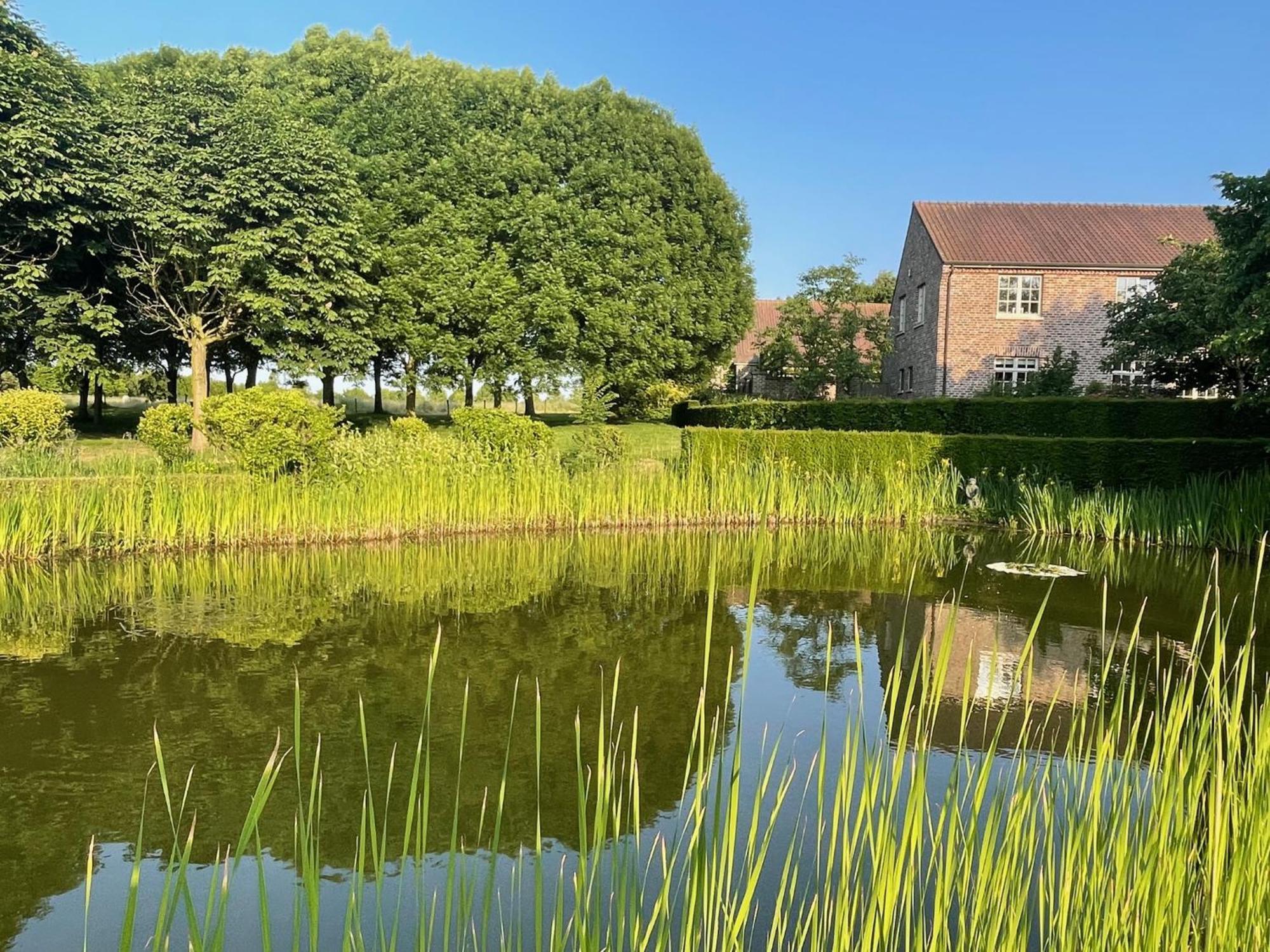 Imagine B&B Wortegem Zewnętrze zdjęcie